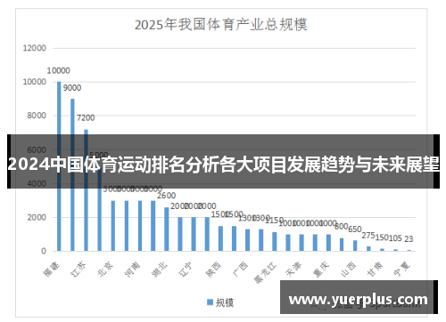 2024中国体育运动排名分析各大项目发展趋势与未来展望