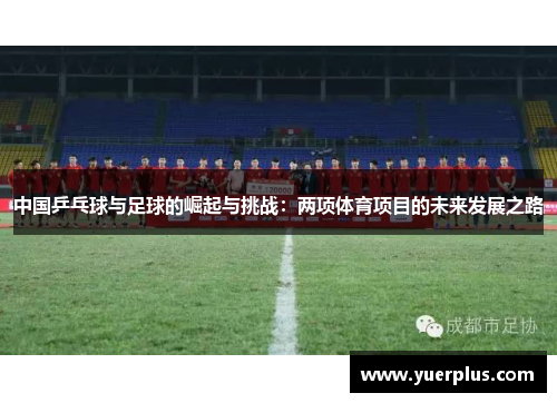 中国乒乓球与足球的崛起与挑战：两项体育项目的未来发展之路