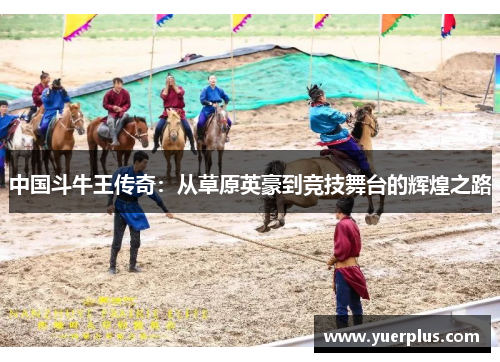 中国斗牛王传奇：从草原英豪到竞技舞台的辉煌之路